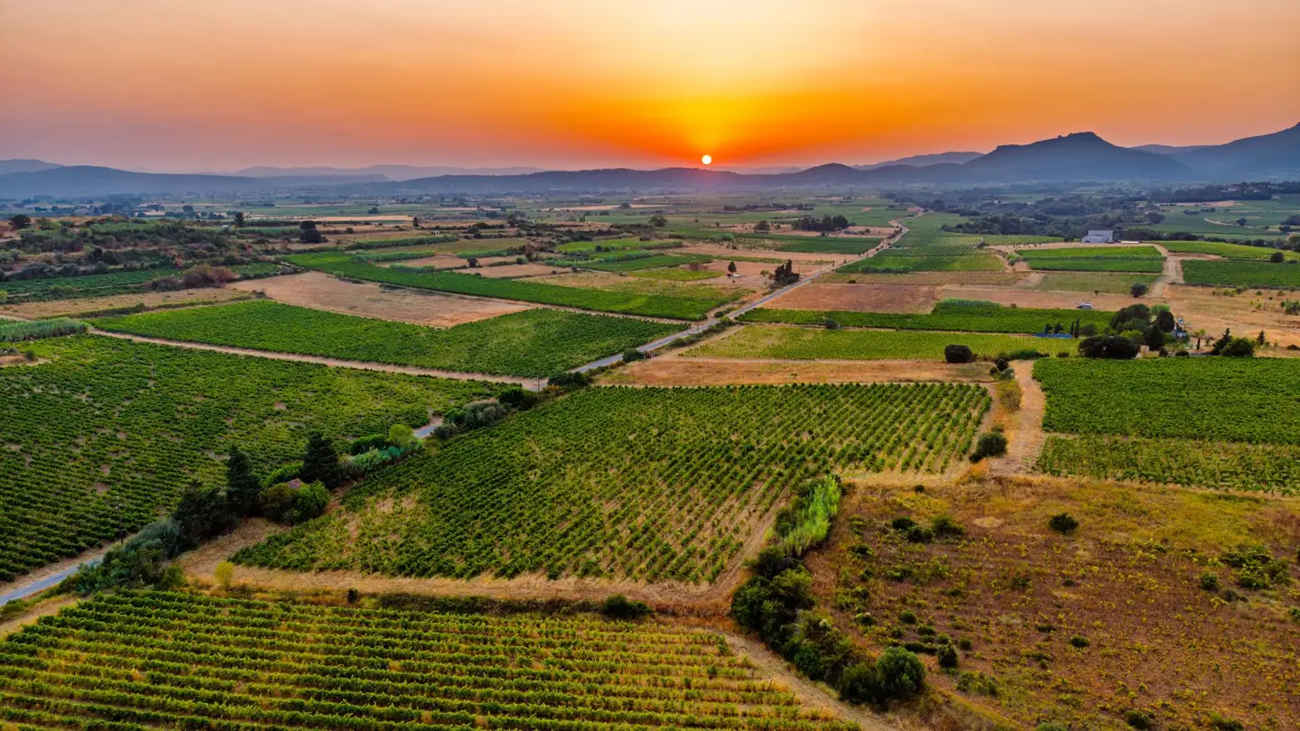 Vallée de l’Hérault au coucher du soleil, vignes et champs vus du ciel