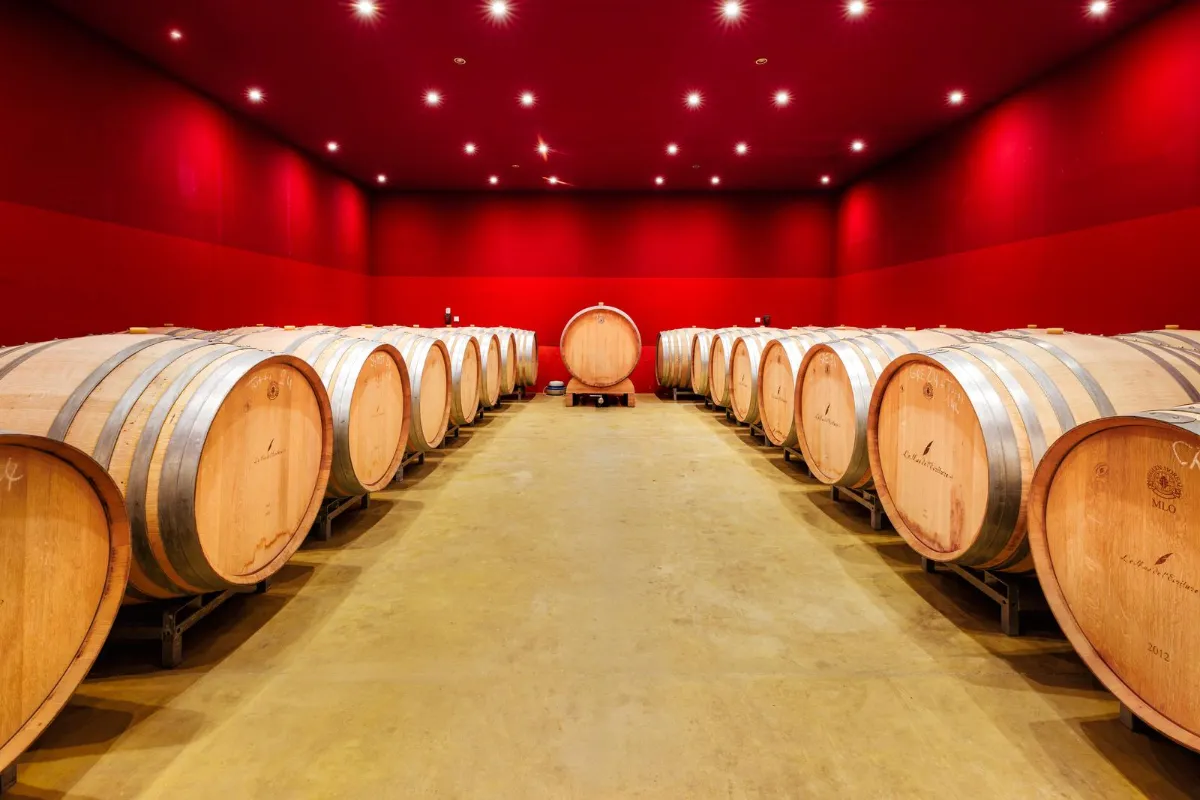 Chai à barriques d’un domaine viticole de l’Hérault